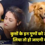 Chanakya Niti learn things from dog