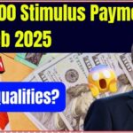 Stimulus Payment in Feb 2025