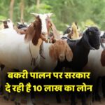 Bakri Palan Loan Yojna