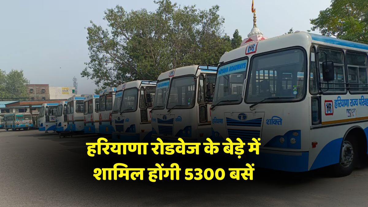 Haryana Roadways 5300 buses