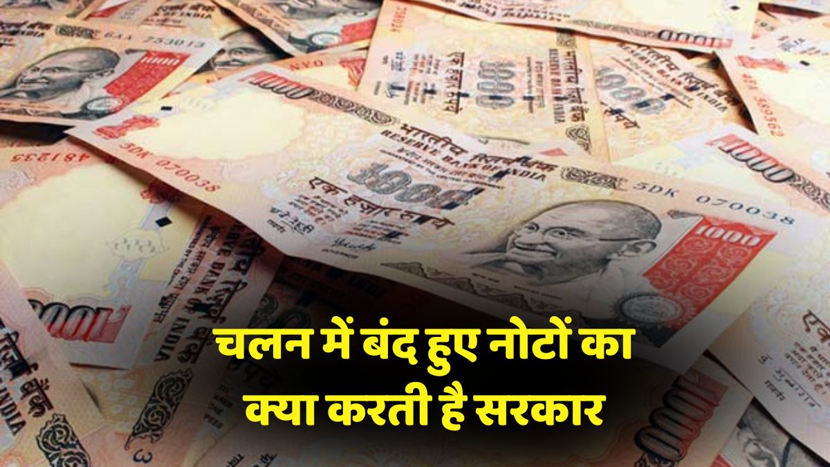 Scrapped Currency Notes