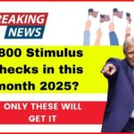 Stimulus Checks