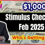 Stimulus Checks in February