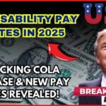 VA Disability Pay Rates