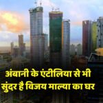 Vijay Mallya Luxury House