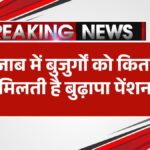 punjab-old-age-pension-scheme