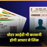 voter id linking